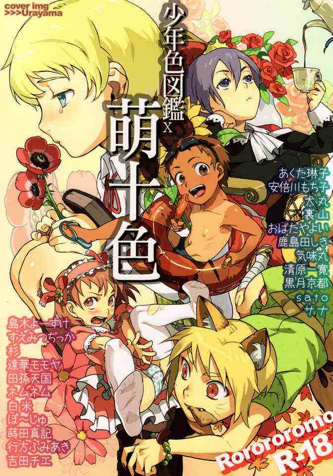 [伪娘] 少年色図鑑10 ～萌十色～