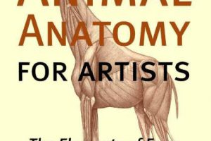 《艺术家的动物解剖学:元素形式》Animal Anatomy for Artists The Elements of Form PDF免费下载