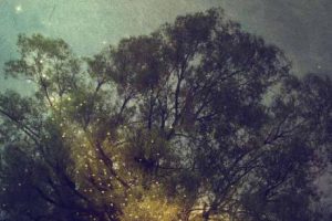 Artists Down Under – Australia and New Zealand – July 2020