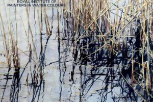 皇家水彩画家协会第208届展览