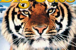 DK的 Eye Wonder系列高清27本全 PDF下载（中高级Science绘本）