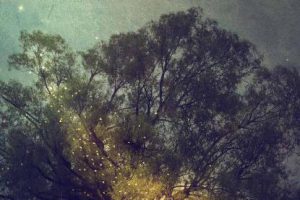 澳大利亚与新西兰艺术家 artists down under杂志2020年 7月刊 PDF下载