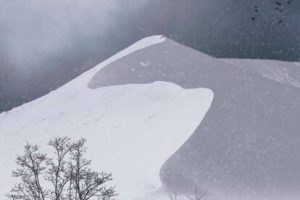 澳大利亚与新西兰艺术家 artists down under 杂志2021年5月 电子书PDF下载