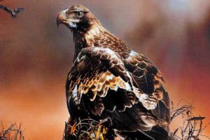 澳大利亚与新西兰艺术家 artists down under 杂志2020年9月 电子书PDF下载