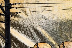 澳大利亚与新西兰艺术家 artists down under 杂志2020年4月 电子书PDF下载