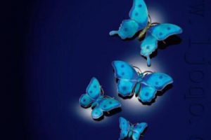 Woolley & Wallis2018珠宝拍卖 电子版PDF下载