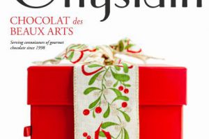 Ghyslain Holiday 巧克力礼盒包装指南 巧克力甜品造型图片大全