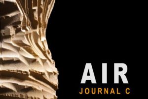 STUDIO AIR︰ PART C DETAILED DESIGN