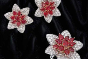 Art of Picchiotti 50周年纪念珠宝系列画册PDF