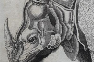 sarah sauvin稀有版画目录 欧洲大师版画作品图库