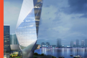 DLR Group International Portfolio