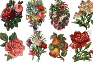 古典玫瑰版画级装饰艺术 包包,封面,平面印刷图案素材