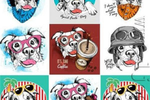 高清澳大利亚牧羊犬无框画装饰画图片印刷印染图案大全