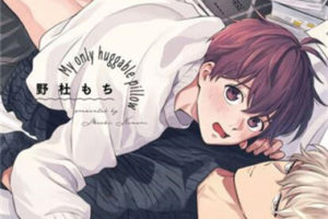 耽美小说漫画[野杜もち][葉山せんせいの抱きまくら]