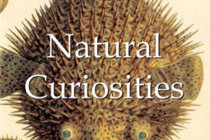 Natural Curiousities自然奇观:奇妙大自然生物复古插图