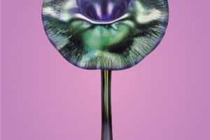 Crafts Movement工艺美术运动画册