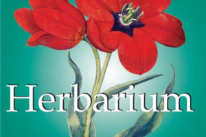 Herbarium——复古植物插图图谱 画册