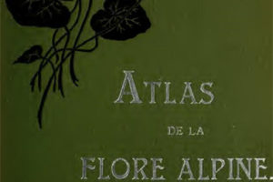 Atlas de La Flore Alpine 植物学古籍图谱