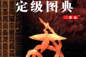 中国文物定级图典(全4卷)PDF下载