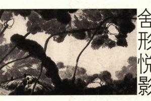 中国花鸟画通鉴 全20册 PDF网盘下载