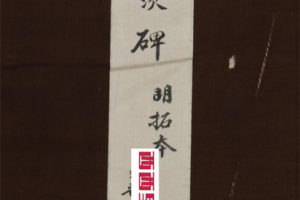 PDF电子书下载 历代碑文碑记碑录拓片石鼓文竹简 381个文件