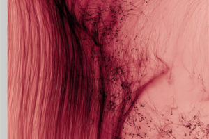 Phillips 2018年10月老照片摄影拍卖画册 PDF电子书下载