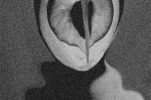 Grimoire突尼斯黑白恐怖幻想艺术家作品集