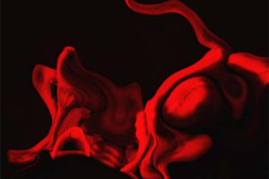 Grimoire艺术家黑白恐怖幻想作品集 特别版 未来人类