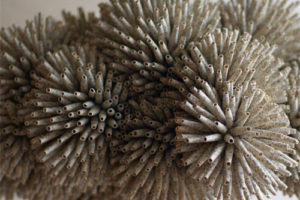 西格·格雷画廊艺术家综合材料第四届年度展