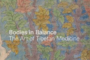 Rubin艺术博物馆 平衡的身体:藏医药的艺术