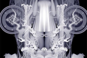 Opera Gallery –Kazuki Takamatsu recent works 2017