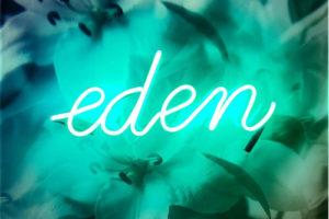 艺术家 Indira Cesarine个人展 摄影、版画和霓虹灯艺术