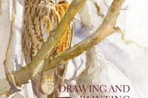 Drawing and Painting Birds 画鸟教程