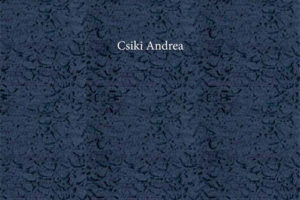 美国墙纸公司Ssiki Andrea 2021新墙纸画册目录