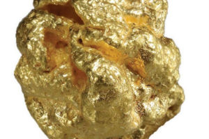 斯坦州立艺术空间展览的艺术家目录