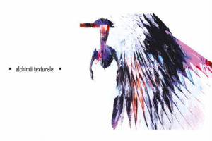 设计大师Paul纺织品纹理设计