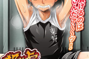 BL正太全彩本子 猛虎陥落!の巻 [DL版]