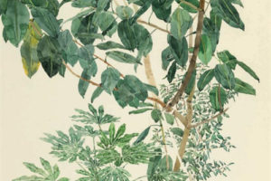 Master Drawings 大师绘画作品精选