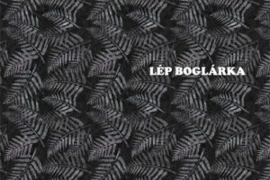 Lep Boglarka 当代壁纸目录画册2019