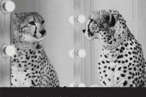 TRENZSEATER 2020精美外销摄影作品目录上