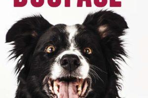 动物摄影师Barbara O Brien Dogface 狗狗的面孔 动物宠物肖像摄影作品欣赏