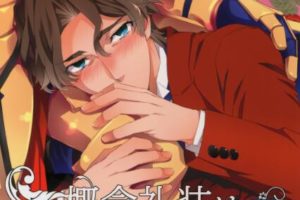 BL同人 Fate Zero金闪闪漫画合集 31本