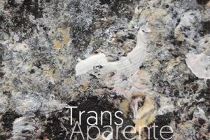 Trans Aparente,2021纺织品艺术图案设计作品集