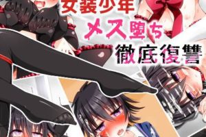 BL娘向 女装系列CG 骇客娃娃3号,葫芦娃 正t女装 萌娘图