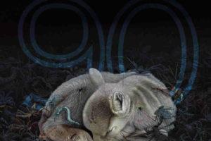 The Moodboarders Magazine 90期 设计 文化 灵感 自然杂志