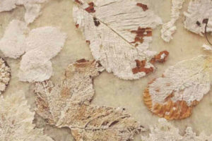 服装设计师Ana Hurghis Portfolio个人作品集 婚纱 纺织 配饰