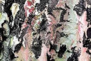 高级成衣时装品牌Gabriel Hutera 2020年面料印花目录画册