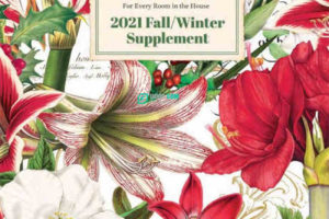 美国品牌Michel design works/2021-1月新品发布目录画册