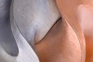 美国珠宝设计协会-主题变化:25年设计精选 当代珠宝工艺