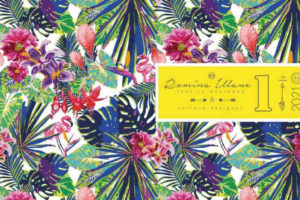 Romina_Illane-Portfolio-2021设计师服装面料印花图案设计作品集